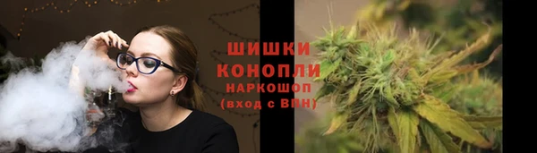 ГАЛЛЮЦИНОГЕННЫЕ ГРИБЫ Няндома