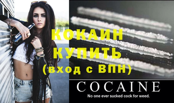 ГАЛЛЮЦИНОГЕННЫЕ ГРИБЫ Няндома