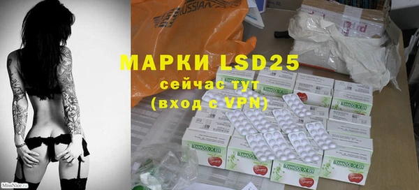 ГАЛЛЮЦИНОГЕННЫЕ ГРИБЫ Няндома