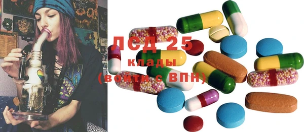ГАЛЛЮЦИНОГЕННЫЕ ГРИБЫ Няндома